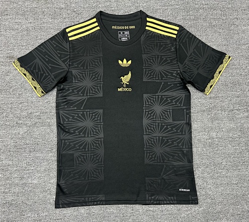 Football Collection Mexico Fan Version