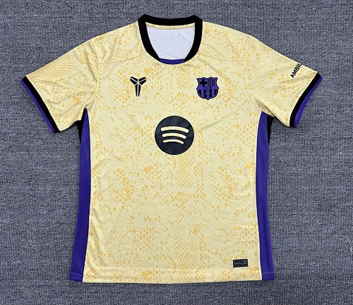 2025-26 Football Collection Fan Version