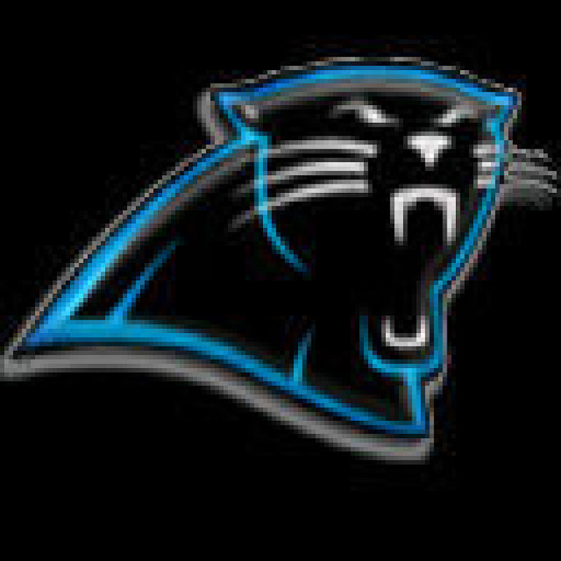 Carolina Panthers Football Jersey view 2